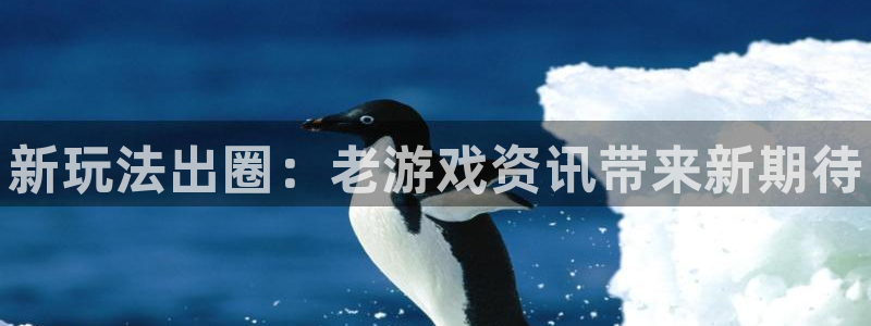 长征娱乐平台登录：新玩法出圈：老游戏资讯带来新期待