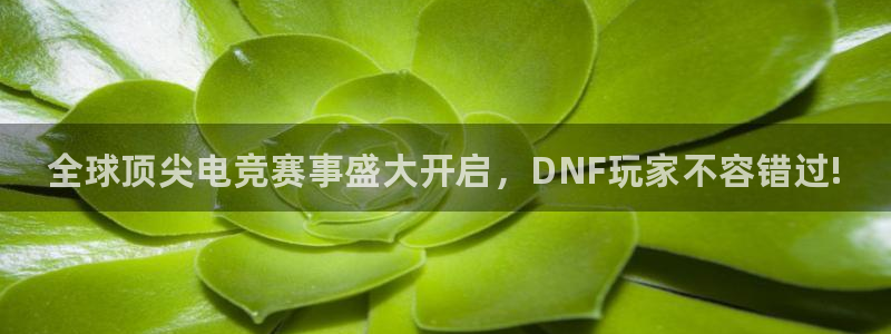 手机版长征娱乐客户端下载：全球顶尖电竞赛事盛大开启，DNF玩