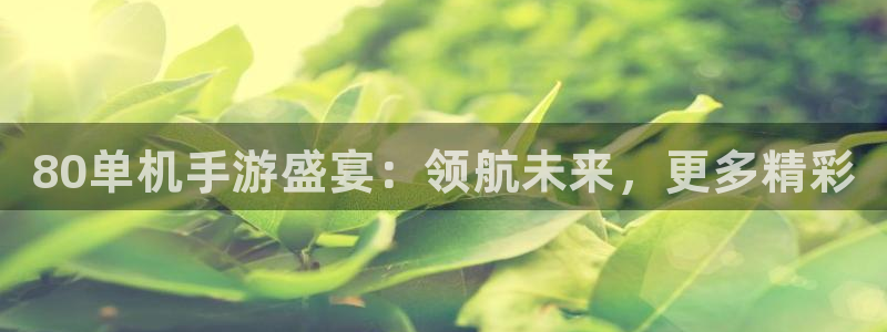 长征娱乐官方平台：80单机手游盛宴：领航未来，更多精彩