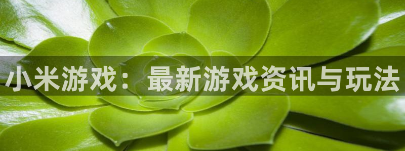 长征娱乐app下载|下载地址：小米游戏：最新游戏资讯与玩法