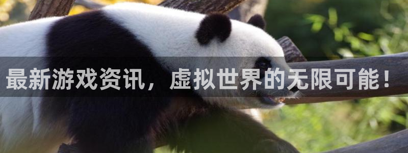 长征娱乐线路测试：最新游戏资讯，虚拟世界的无限可能！