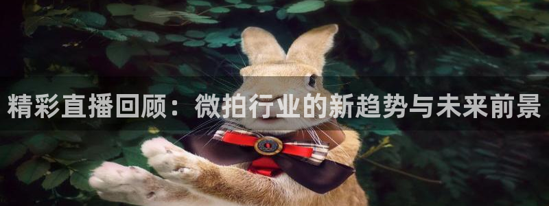 雨燕直播比赛：精彩直播回顾：微拍行业的新趋势与未来前景