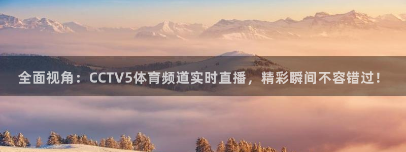 雨燕足球直播官网：全面视角：CCTV5体育频道实时直播，精彩瞬间不容错过！