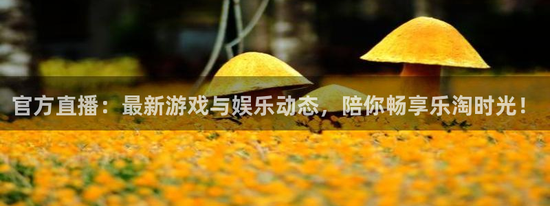 雨燕360体育免费直播斯诺克jrs：官方直播：最新游戏与娱乐动态，陪你畅享乐淘时光！