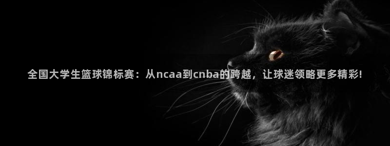 雨燕nba免费直播在线直播：全国大学生篮球锦标赛：从ncaa到cnba的跨越，让球迷领略更多精彩!