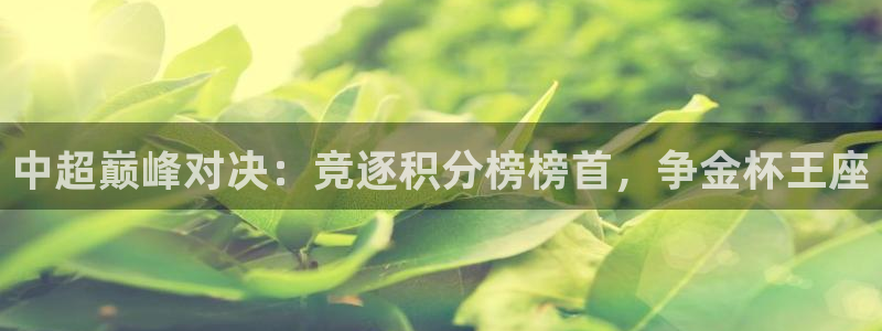 雨燕直播球赛：中超巅峰对决：竞逐积分榜榜首，争金杯王座