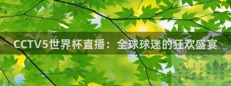 免费足球直播雨燕：CCTV5世界杯直播：全球球迷的狂欢盛宴