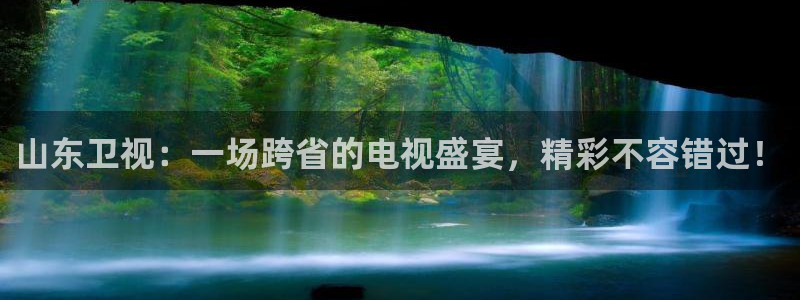 雨燕360体育直播大厅购彩.最新的页面.top：山东卫视：一场跨省的电视盛宴，精彩不容错过！