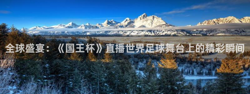 nba直播在线观看高清雨燕：全球盛宴：《国王杯》直播世界足球舞台上的精彩瞬间